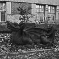 DSC00333