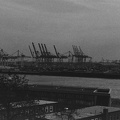 DSC00335