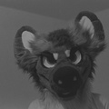 DSC00345