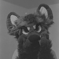 DSC00347