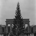 Berlin-12 2024-11