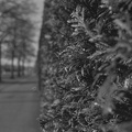 Zuchering-nature-1