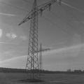 Zuchering-nature-4
