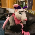 Furvester-2