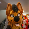 Furvester-3