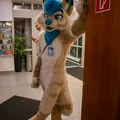 Furvester-5