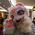 Furvester-6