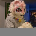 Furvester-12