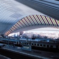 Liege