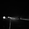 Liege-31