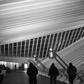 Liege-42