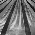 Liege-43
