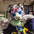 DSC07729
