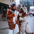 nfc25-fuji400-11