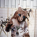nfc25-fuji400-23