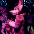 2dance25-C800T-14