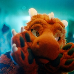 Furry-Events