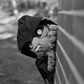 furciety-stammi-1-hp5-17