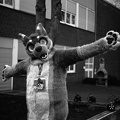 furciety-stammi-1-hp5-24
