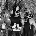 furciety-stammi-1-hp5-30