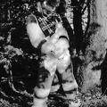 furciety-stammi-1-hp5-33