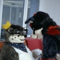 furciety0425-c800t-2