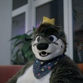 furciety0425-c800t-3
