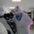 furciety0425-c800t-6
