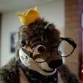 furciety0425-c800t-24