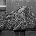hackover-dastan 07.25 hp5-23