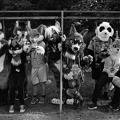 Berlin-Sommerfest25 HP5-16