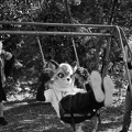 Berlin-Sommerfest25 HP5-19