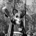 Berlin-Sommerfest25 HP5-23