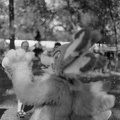 Berlin-Sommerfest25 HP5-24