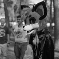 Berlin-Sommerfest25 HP5-25