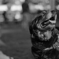 Berlin-Sommerfest25 HP5-37