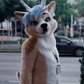 Awoostria25 UMax-5