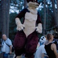 Berlin Sommerfest25 c800t-5