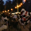 Berlin Sommerfest25 c800t-25