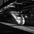 FRA Omnom2025 hp5-25