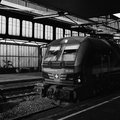 FRA Omnom2025 hp5-29