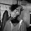 FRA Omnom2025 hp5-2