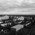 Lucky-Tundra2025 FP4-13
