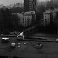 Lucky-Tundra2025 FP4-17