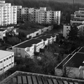 Lucky-Tundra2025 FP4-18