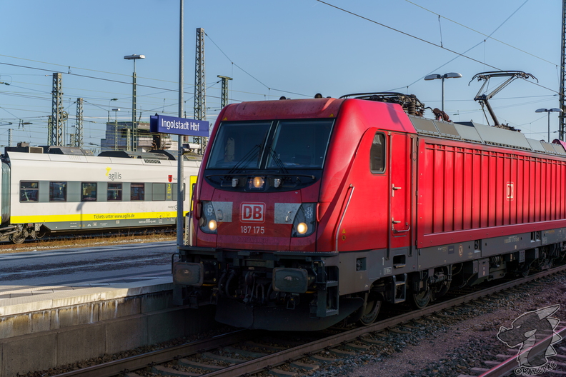 RA700568.jpg