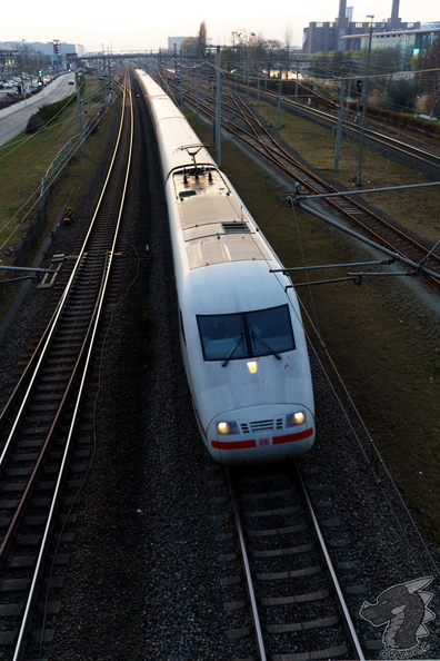 RA700777.jpg