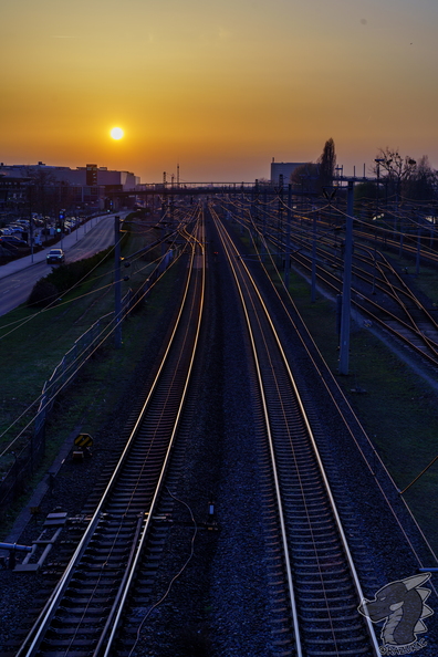 RA700697.jpg