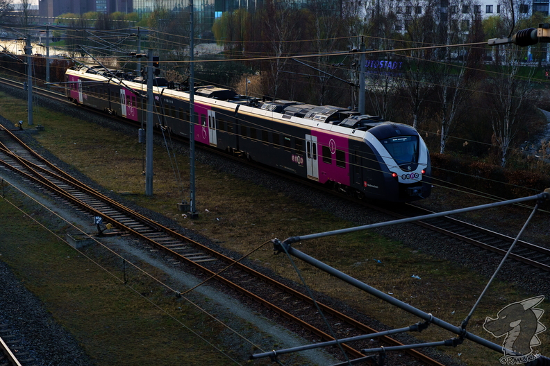 RA700754.jpg