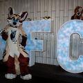 NFC26-U400-2-11